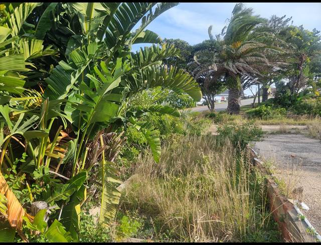 893M² VACANT LAND FOR SALE IN DANA BAY